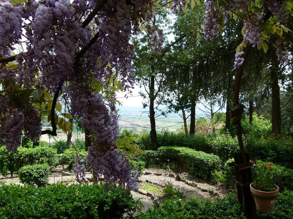 مبيت وإفطار Sant'Enea Casa Fiorita المظهر الخارجي الصورة