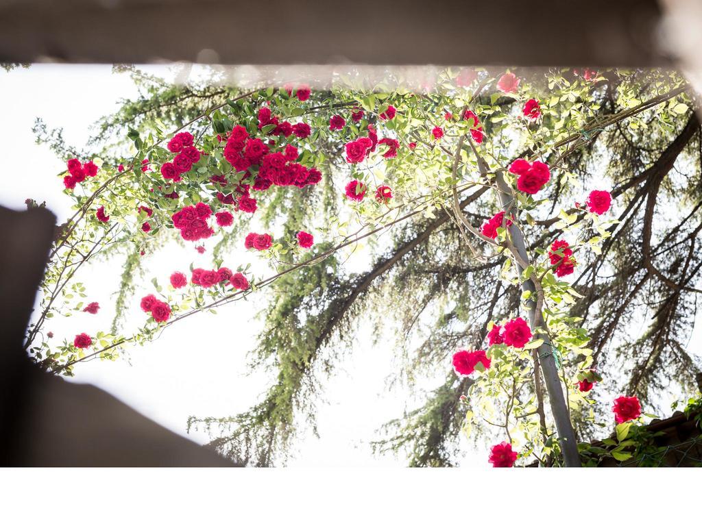 مبيت وإفطار Sant'Enea Casa Fiorita المظهر الخارجي الصورة